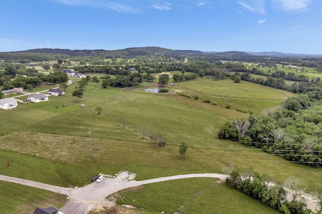 1982 Hamilton Chambers, Lebanon, TN 37087 - photo 10