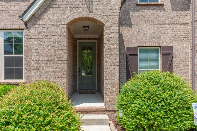 705 Rain Meadow Ct, Spring Hill, TN 37174 - property entrance with brick siding