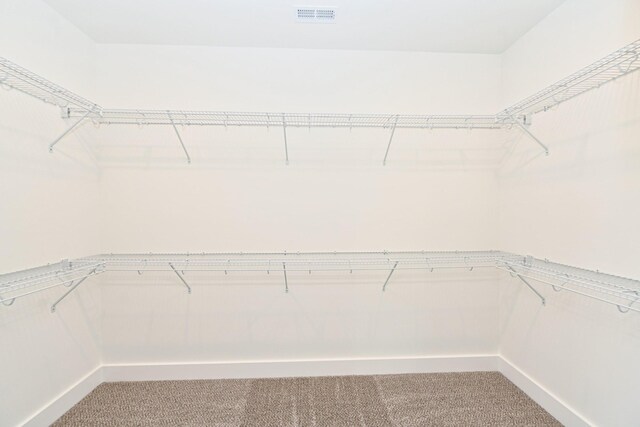 796 N Leath Rd, Portland, TN 37148 - spacious closet with light carpet