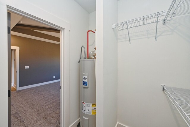 717 Lear Rd, Portland, TN 37148 - photo 43