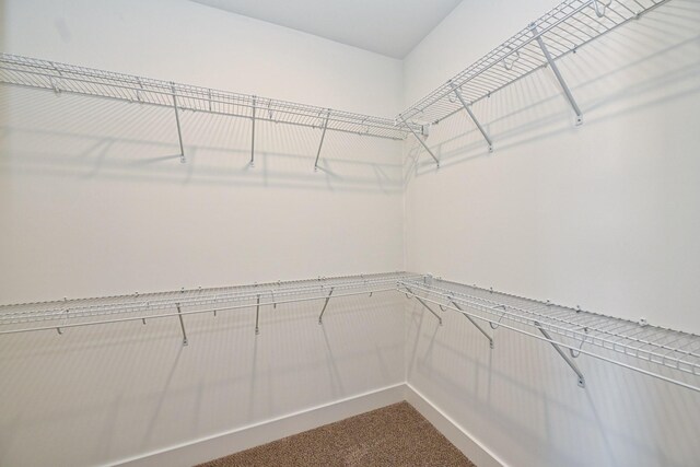 717 Lear Rd, Portland, TN 37148 - photo 41