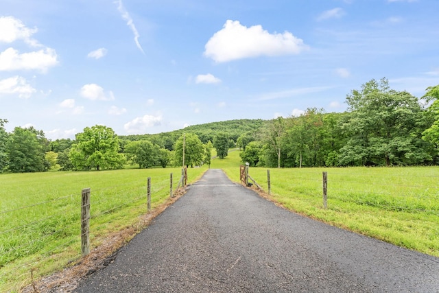 626 Coop Rd, Bell Buckle, TN 37020 - photo 19
