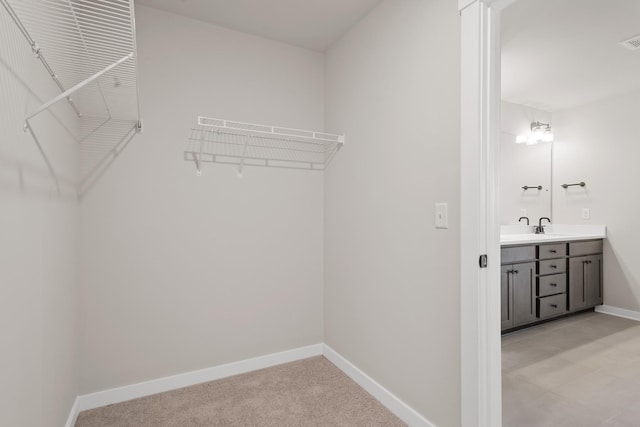 2416 Burton Dr, White House, TN 37188 - walk in closet with a sink