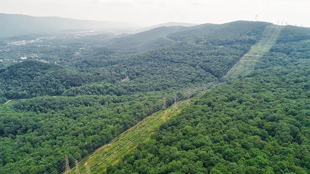 3692 Pan Gap Cir, Chattanooga, TN 37419