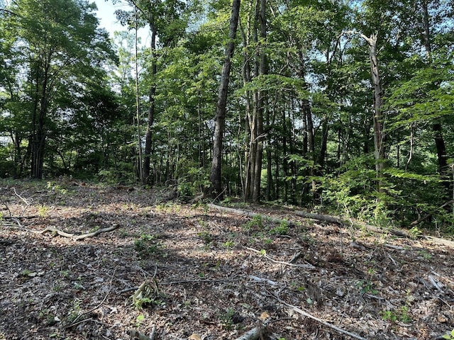 3692 Pan Gap Cir, Chattanooga, TN 37419