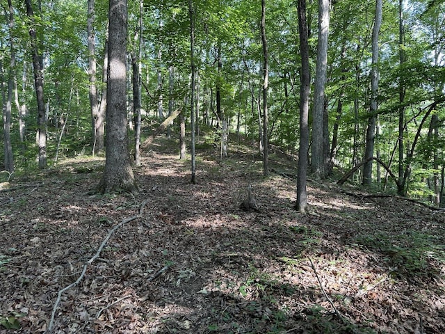 3692 Pan Gap Cir, Chattanooga, TN 37419