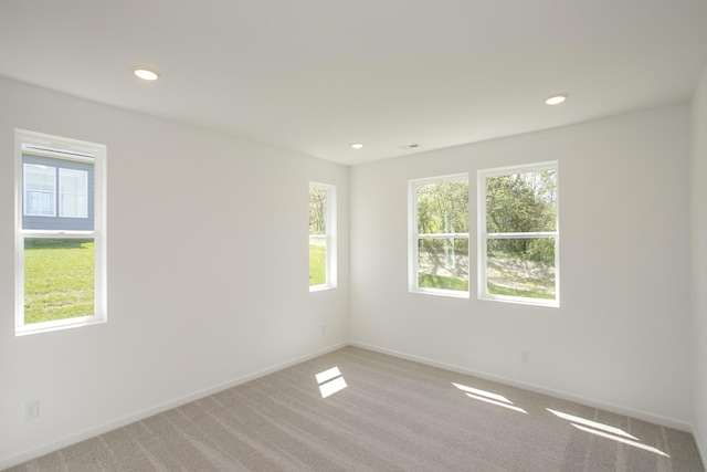 2367 Williamsport Lndg, Columbia, TN 38401 - spare room with healthy amount of natural light, carpet floors, baseboards, and recessed lighting