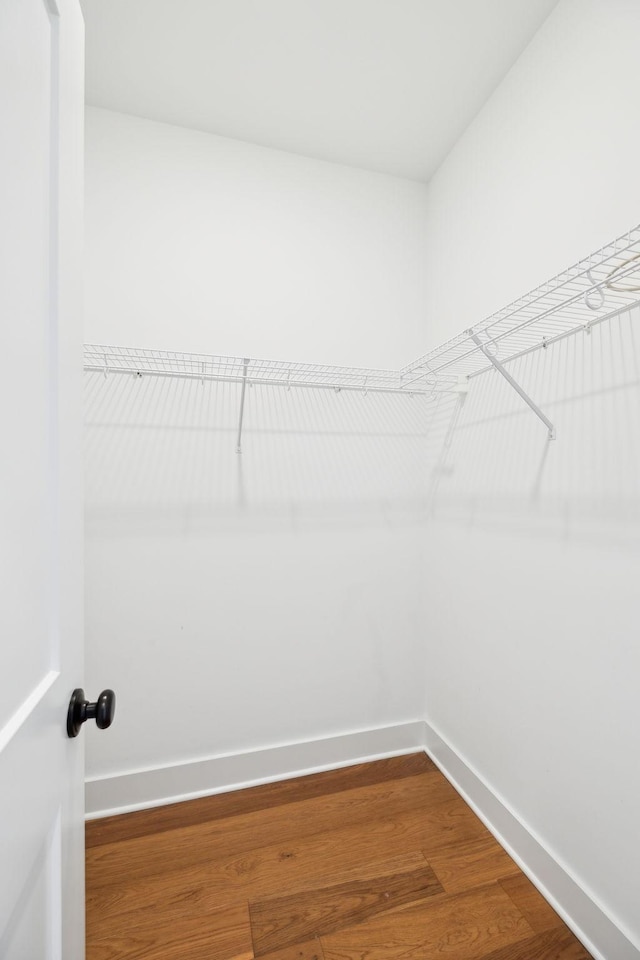 3298 Vinemont Dr, Thompsons Station, TN 37179 - walk in closet with wood finished floors