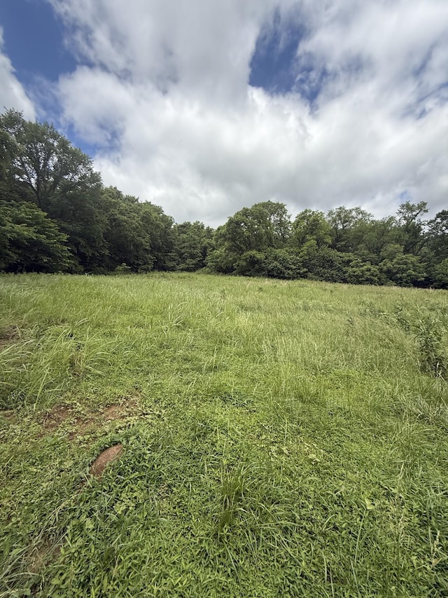 1190 Patton Hollow Rd, Watertown, TN 37184 - photo 1