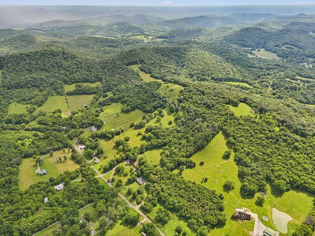 1190 Patton Hollow Rd, Watertown, TN 37184 - photo 8