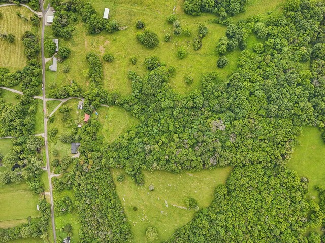 1190 Patton Hollow Rd, Watertown, TN 37184 - photo 3