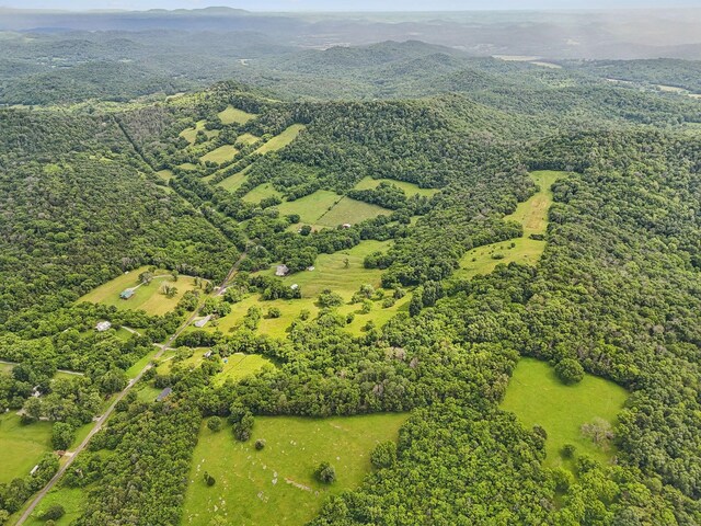 1190 Patton Hollow Rd, Watertown, TN 37184 - photo 7