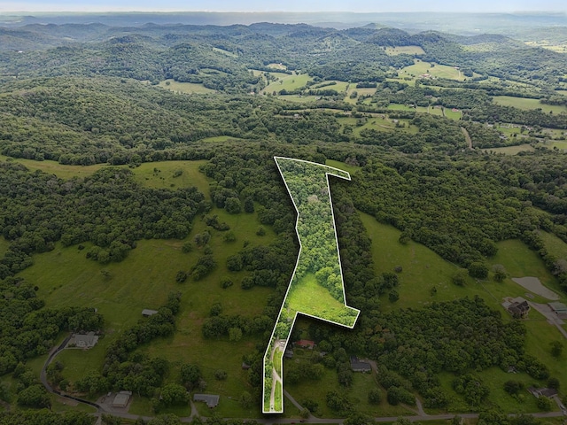 1190 Patton Hollow Rd, Watertown, TN 37184 - photo 2