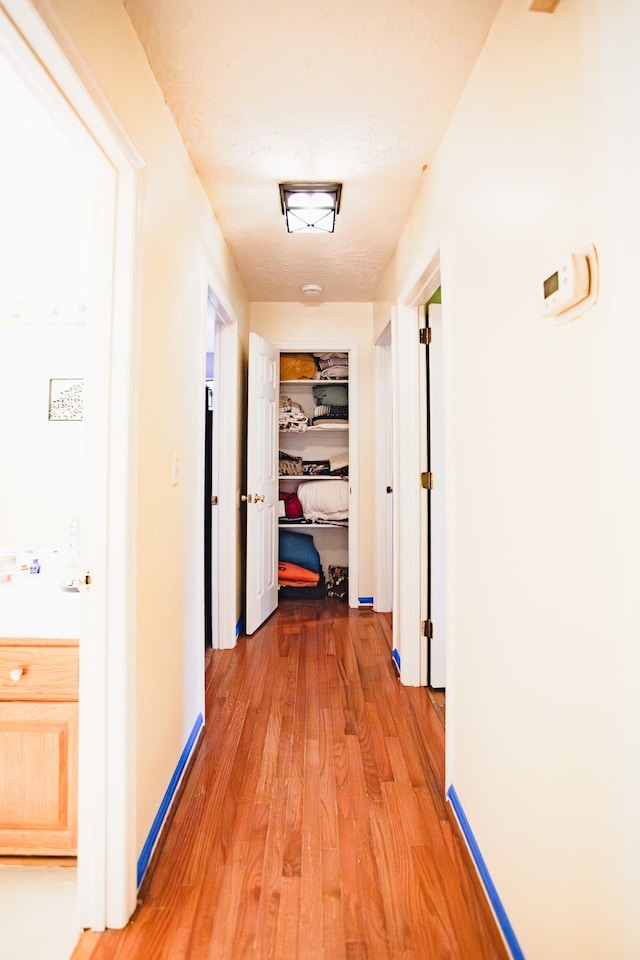 2014 Saddlebrook Dr, Murfreesboro, TN 37129 - corridor featuring light wood-style floors