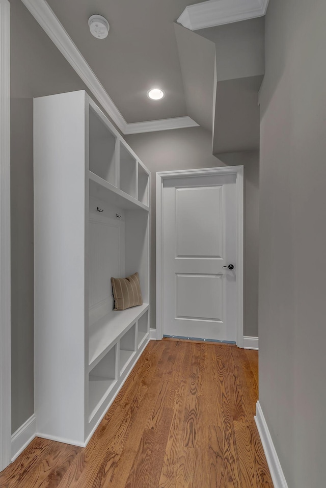 1132 Pretender Way, Columbia, TN 38401 - mudroom with wood finished floors, crown molding, baseboards, and recessed lighting