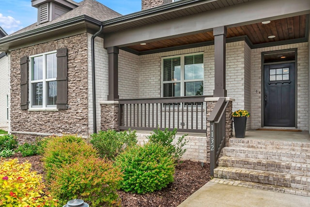 1132 Pretender Way, Columbia, TN 38401 - property entrance with a porch
