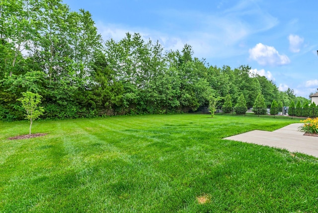 1132 Pretender Way, Columbia, TN 38401 - view of yard featuring a patio