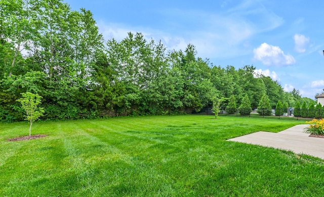 1132 Pretender Way, Columbia, TN 38401 - view of yard