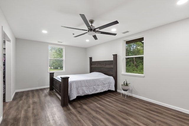 176 S Palmers Chapel Rd, White House, TN 37188 - bedroom with dark wood-style floors, recessed lighting, multiple windows, and baseboards