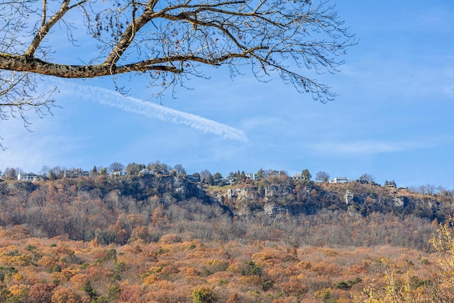 1313 W 46th St, Chattanooga, TN 37409 - view of mountain backdrop