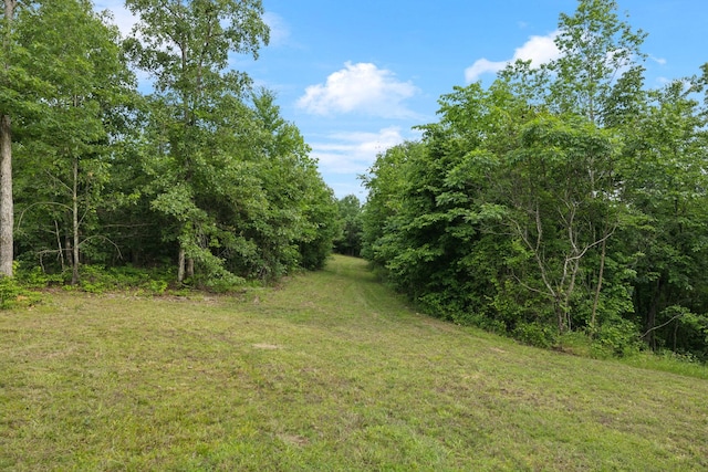 1635 Bear Hollow Dr, Waverly, TN 37185