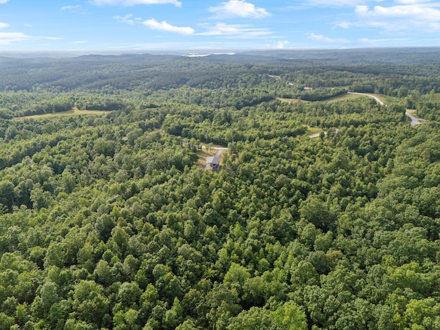 1635 Bear Hollow Dr, Waverly, TN 37185