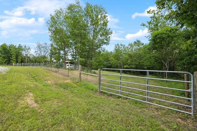 1635 Bear Hollow Dr, Waverly, TN 37185