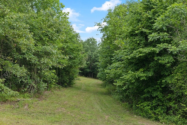 1635 Bear Hollow Dr, Waverly, TN 37185