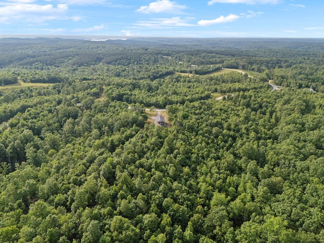 1635 Bear Hollow Dr, Waverly, TN 37185