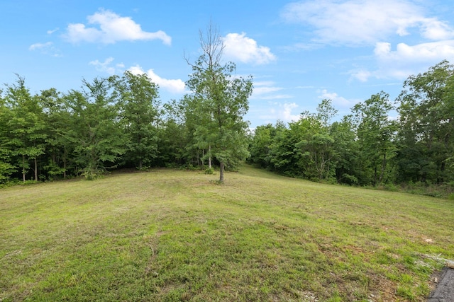 1635 Bear Hollow Dr, Waverly, TN 37185