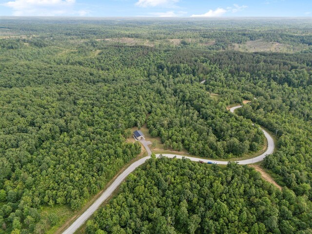 1635 Bear Hollow Dr, Waverly, TN 37185