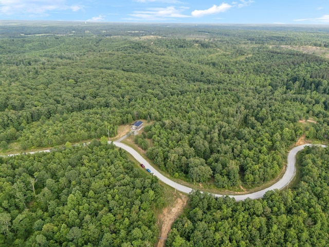 1635 Bear Hollow Dr, Waverly, TN 37185