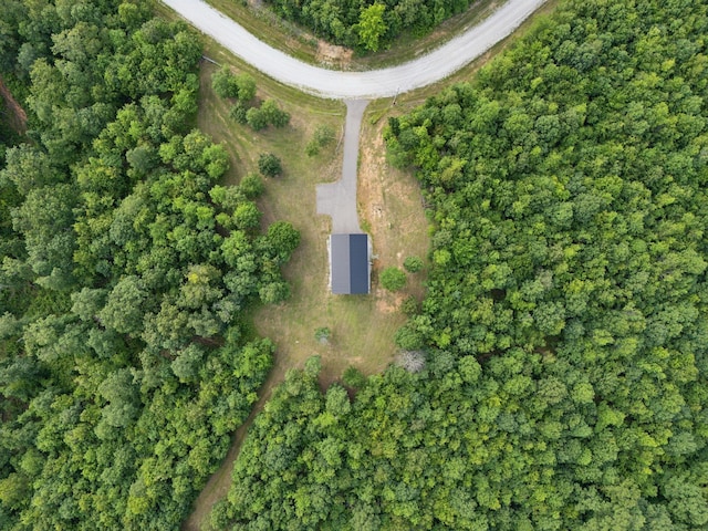 1635 Bear Hollow Dr, Waverly, TN 37185