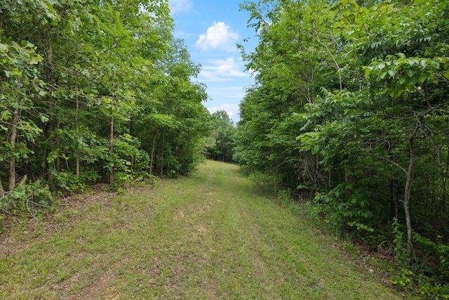 1635 Bear Hollow Dr, Waverly, TN 37185