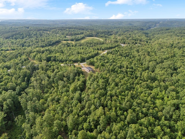 1635 Bear Hollow Dr, Waverly, TN 37185