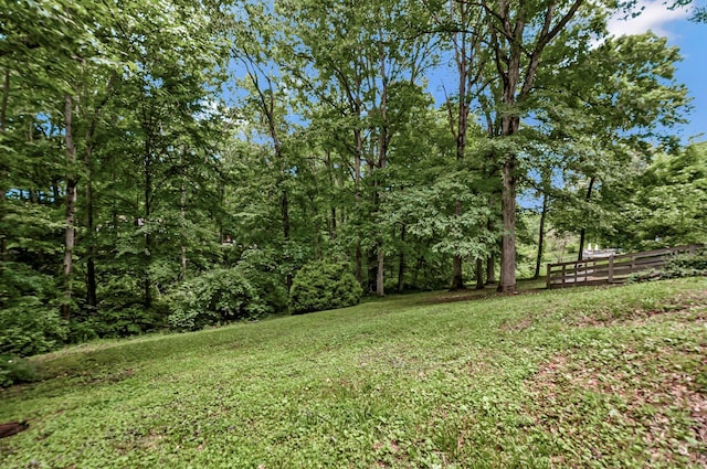 1203 Kingston Springs Rd, Kingston Springs, TN 37082 - view of green lawn