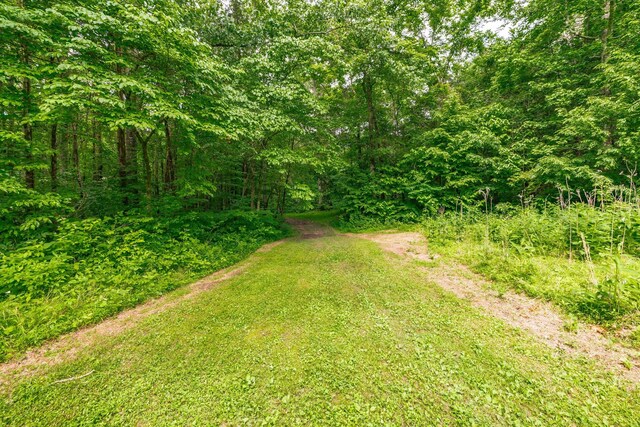 1650 Puryears Bend Rd, Hartsville, TN 37074