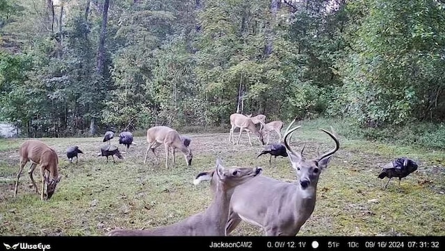 1650 Puryears Bend Rd, Hartsville, TN 37074