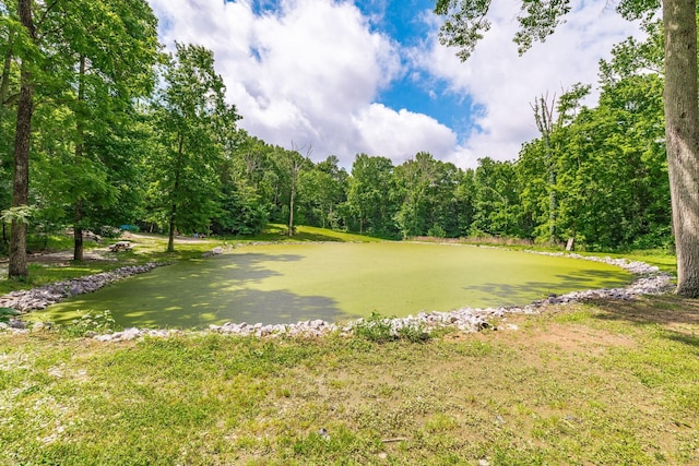 1650 Puryears Bend Rd, Hartsville, TN 37074