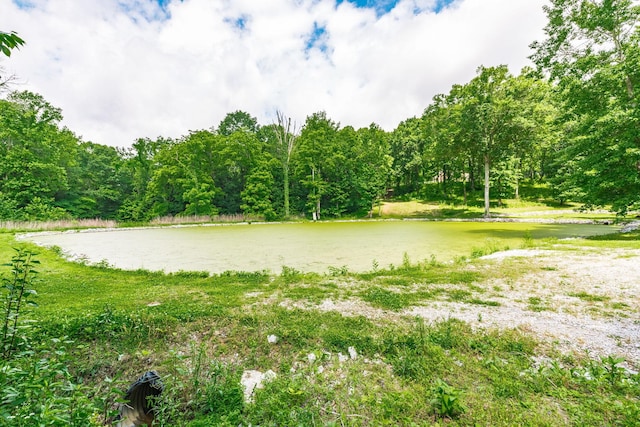 1650 Puryears Bend Rd, Hartsville, TN 37074