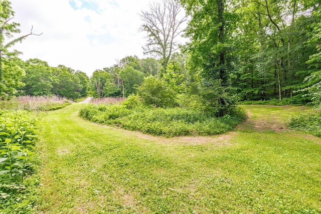 1650 Puryears Bend Rd, Hartsville, TN 37074