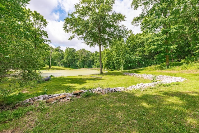 1650 Puryears Bend Rd, Hartsville, TN 37074