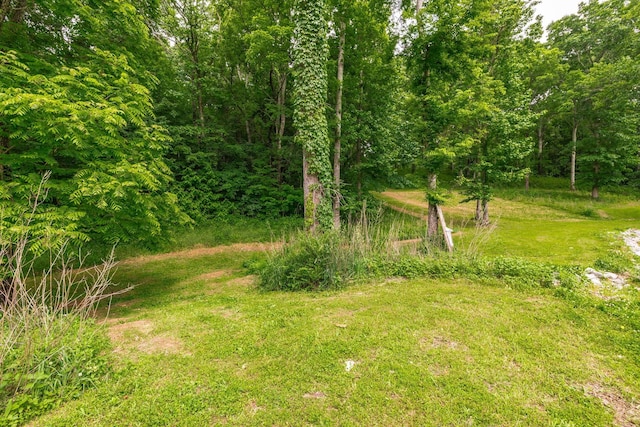 1650 Puryears Bend Rd, Hartsville, TN 37074