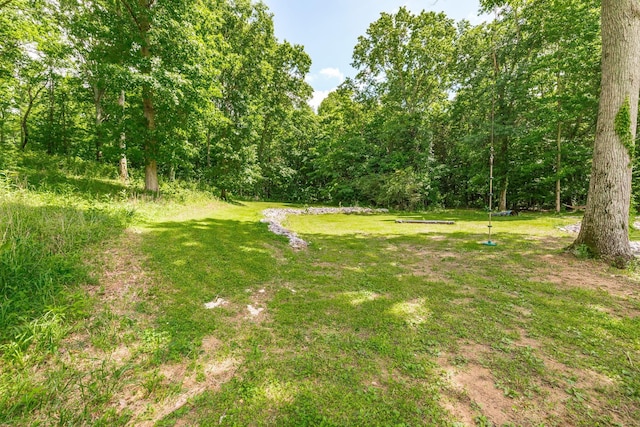 1650 Puryears Bend Rd, Hartsville, TN 37074