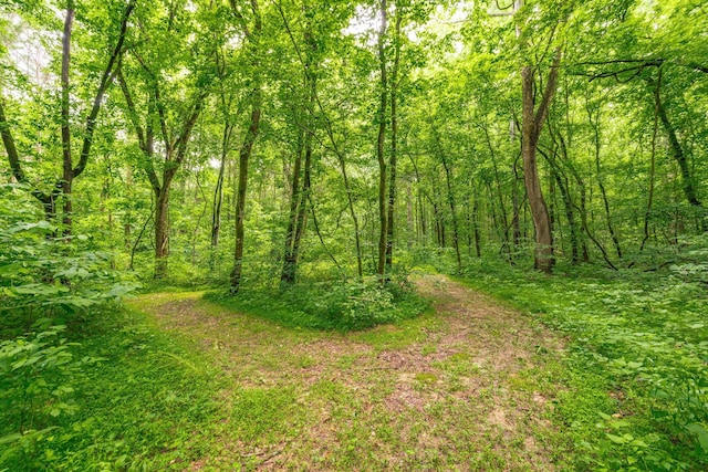 1650 Puryears Bend Rd, Hartsville, TN 37074