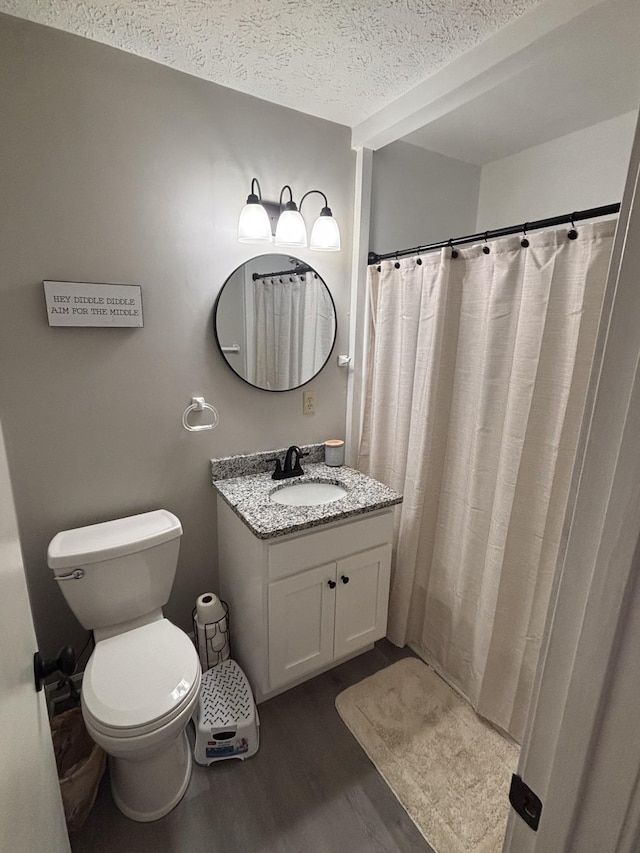 1040 Rebecca Dr, Burns, TN 37029 - bathroom featuring wood finished floors, vanity, toilet, a textured ceiling, and a shower with curtain
