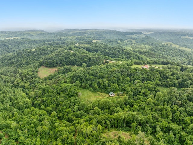 206 Mutt Goolsby Ln, Granville, TN 38564 - photo 75