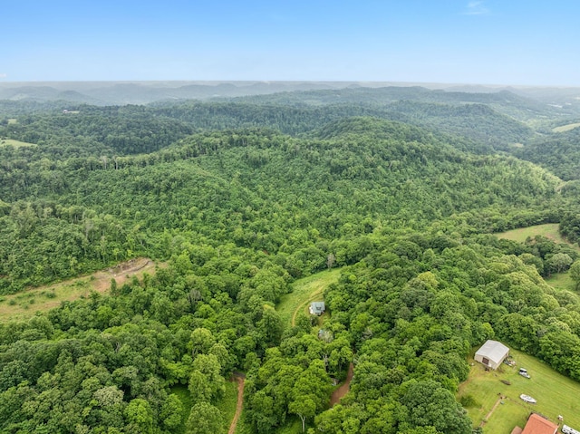206 Mutt Goolsby Ln, Granville, TN 38564 - photo 71