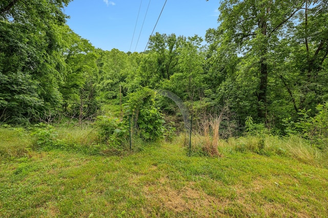 206 Mutt Goolsby Ln, Granville, TN 38564 - photo 64