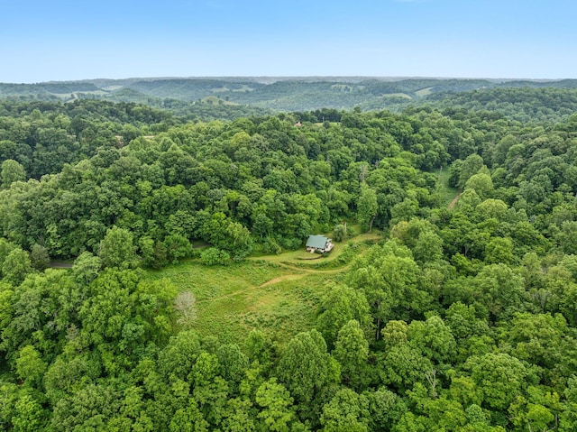 206 Mutt Goolsby Ln, Granville, TN 38564 - photo 81